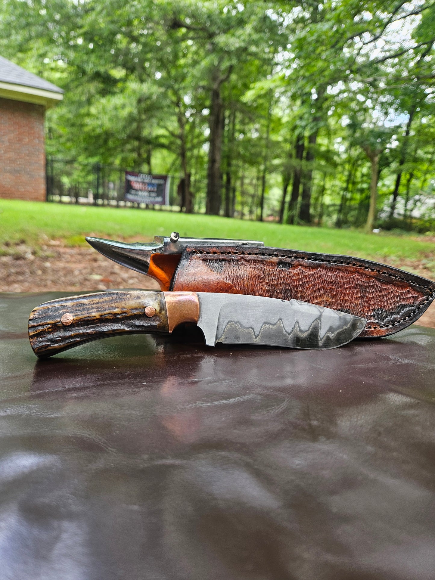 Recurve Bowie