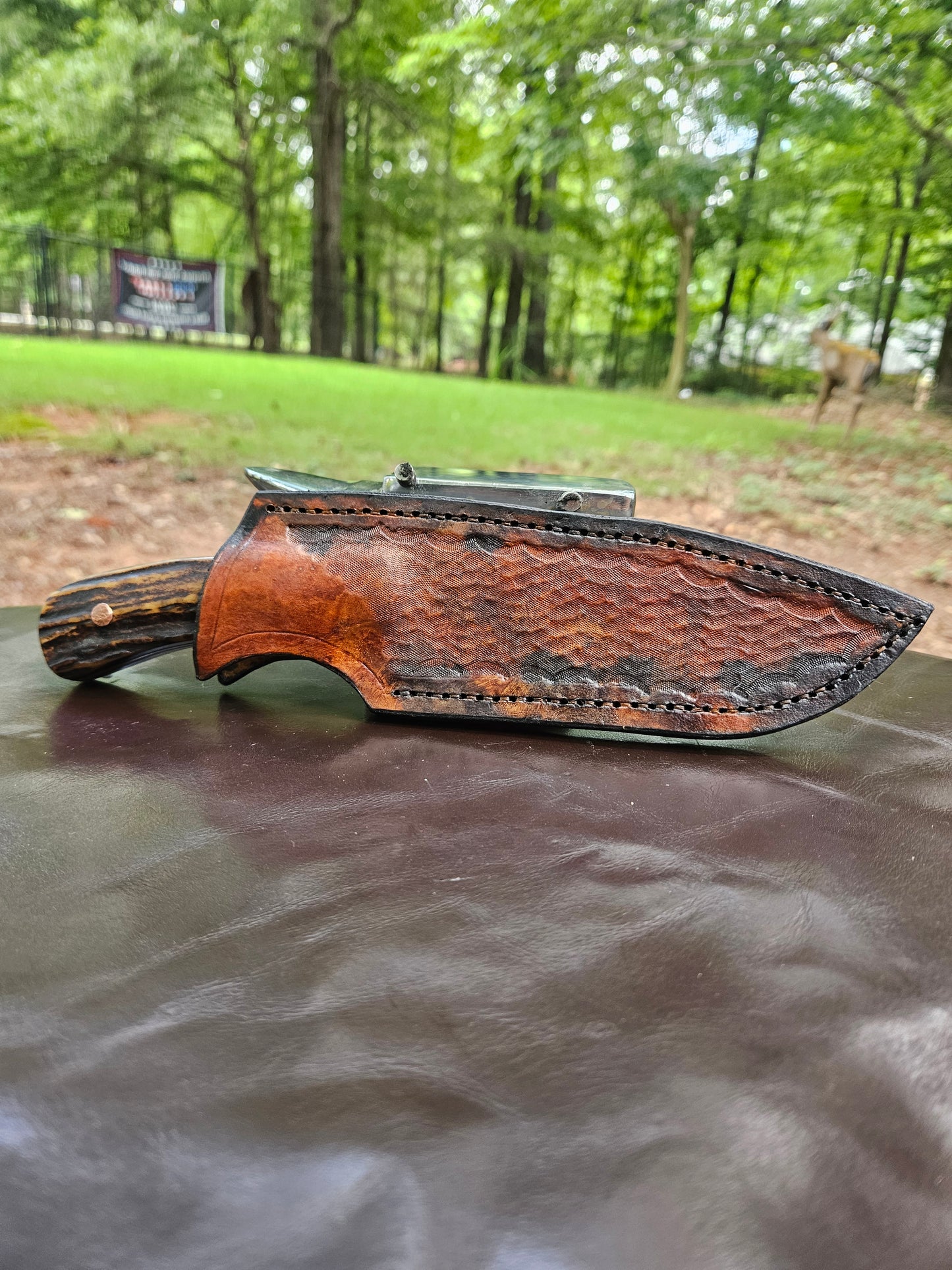 Recurve Bowie