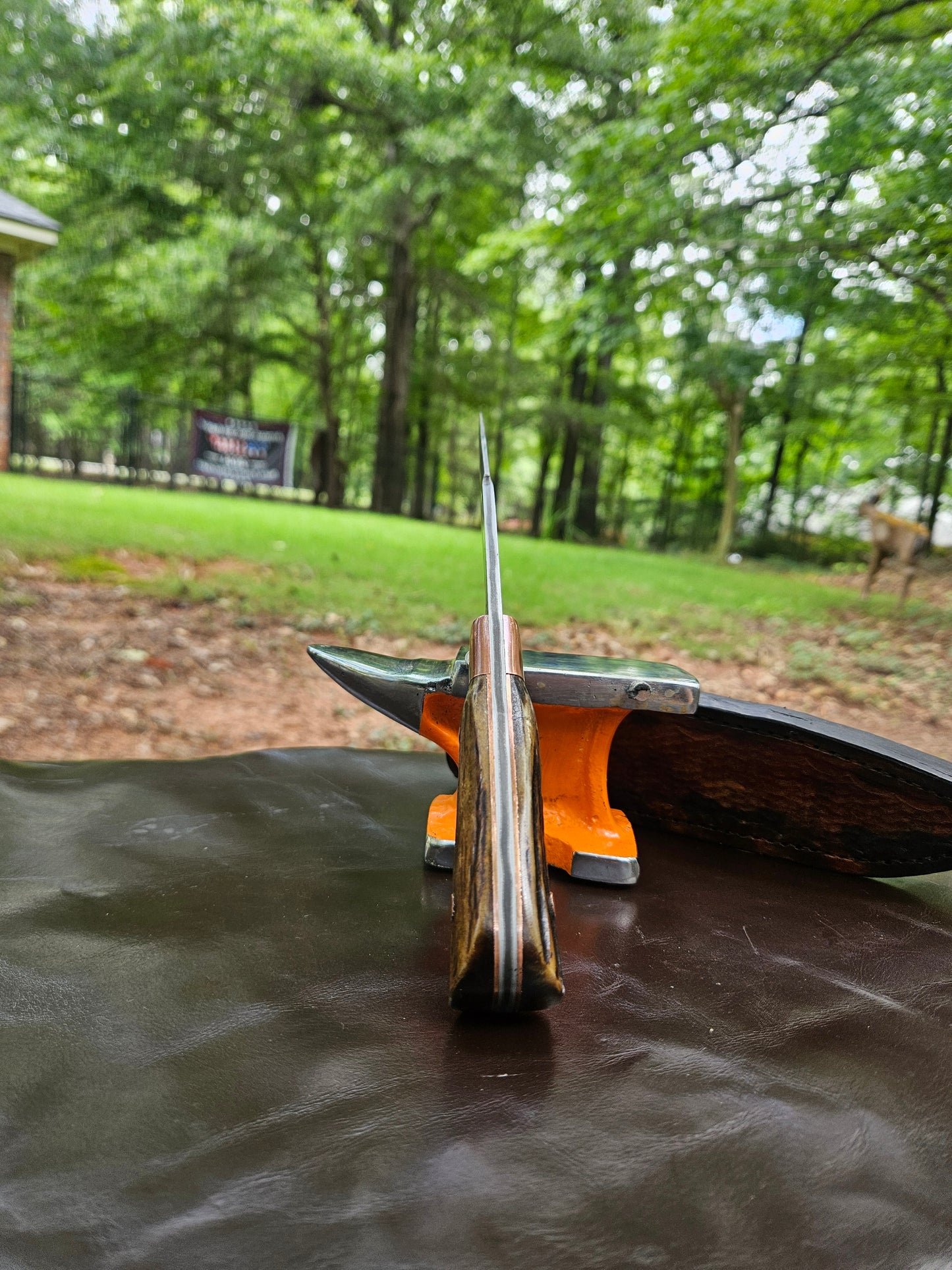 Recurve Bowie