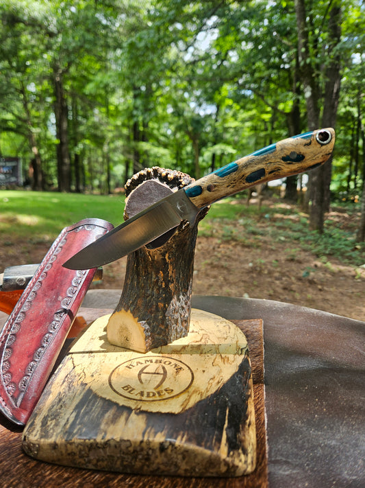 Bird and Trout Knife